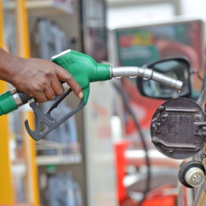 Nigeria’s fuel subsidy removal will boost sovereign wealth fund cash, chief investment officer says